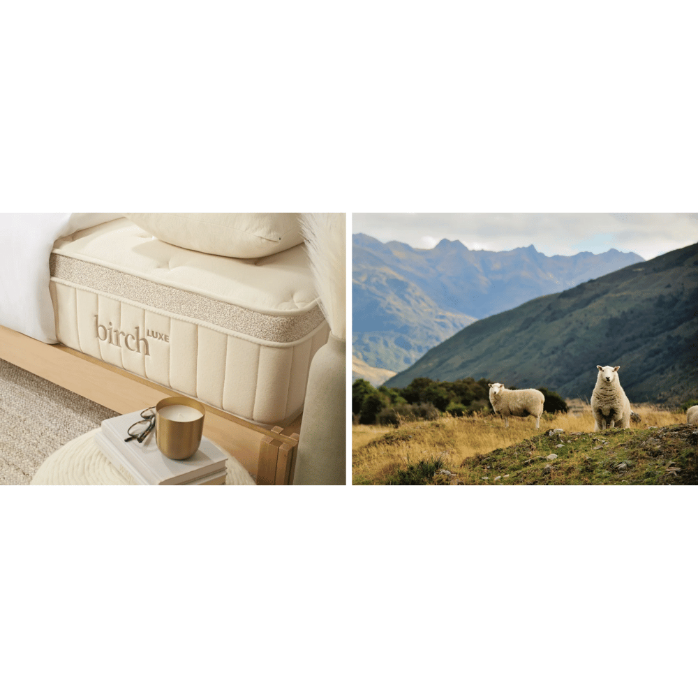 Birch breathable eco bed