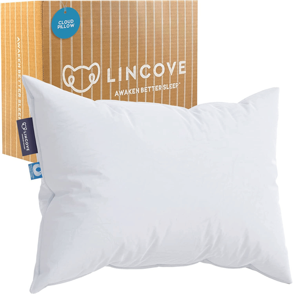 Luxury down pillow