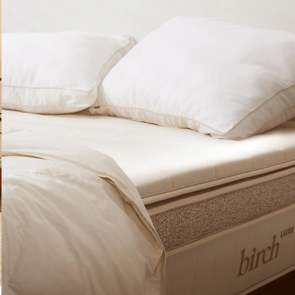 Birch Organic Mattress Comfort