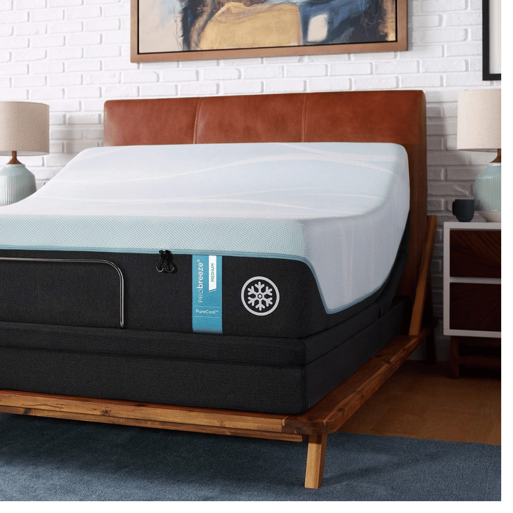 Tempur-Pedic spinal alignment Bed Frame