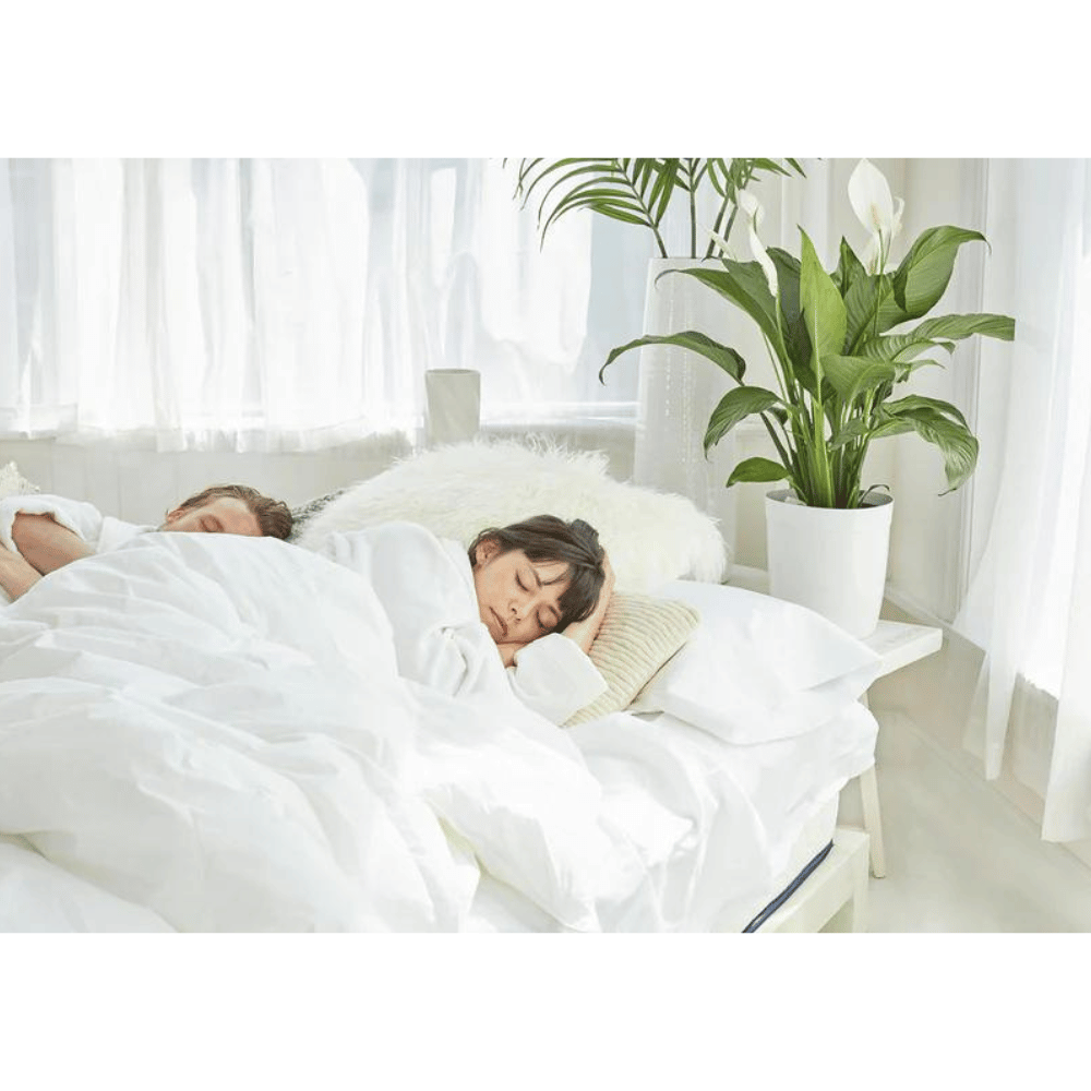 WinkBeds versatile bed