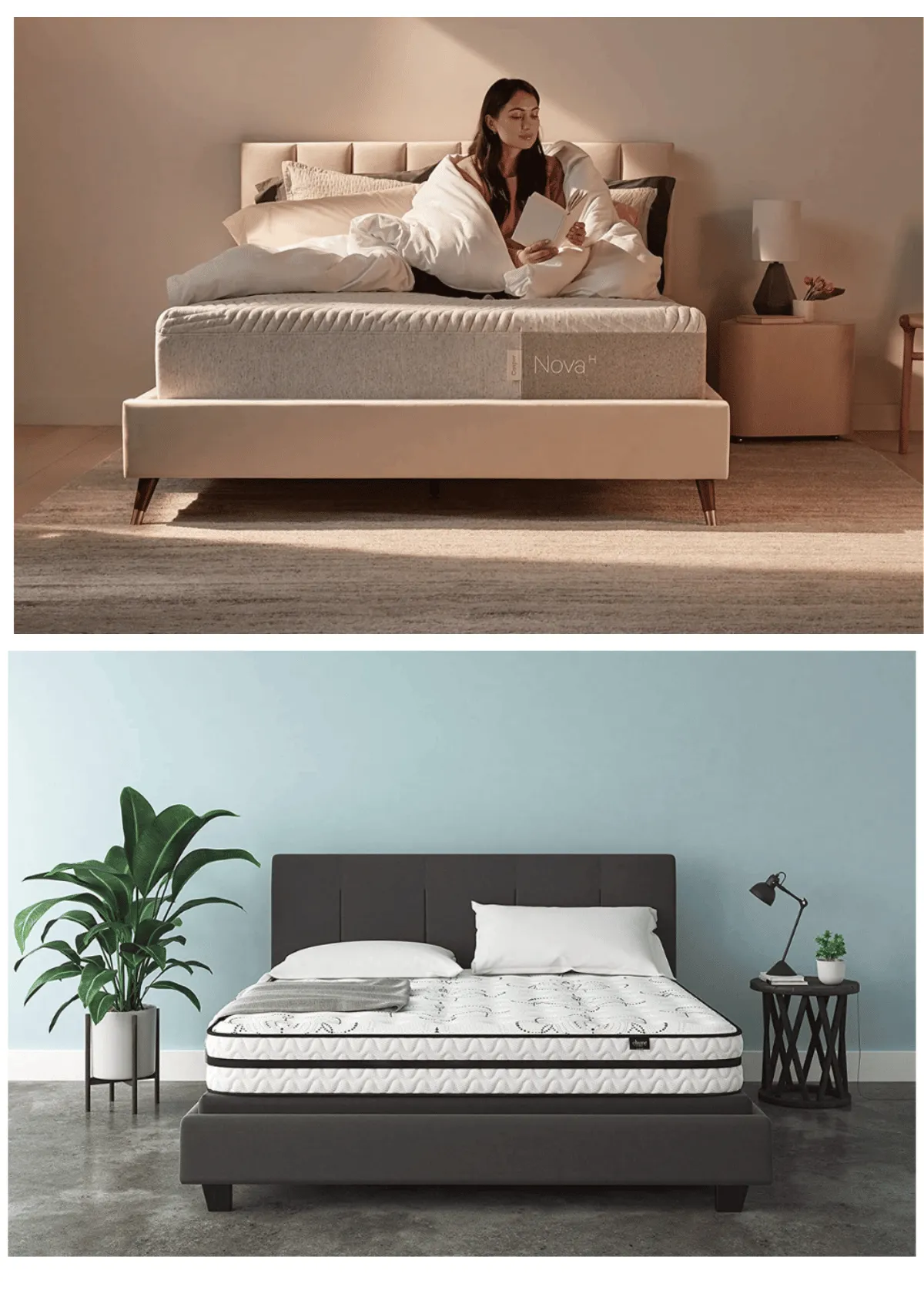 "The Best Queen Mattress Picks for the Coziest Sleep in 2024"