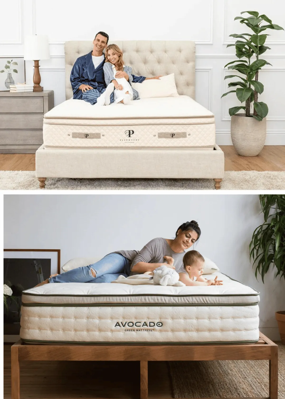  Credit: PlushBeds; Avocado Green Mattress